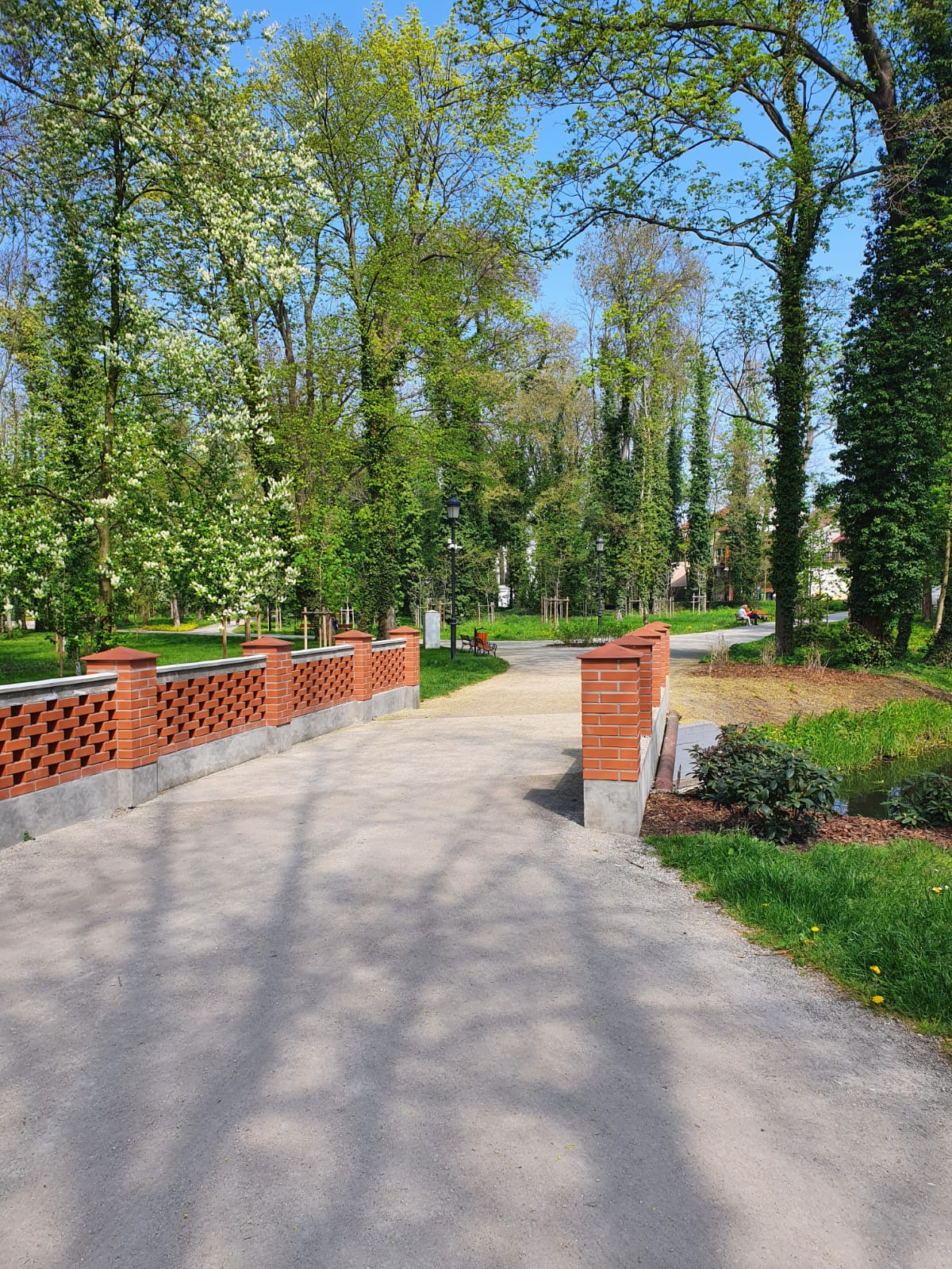 Natura wokół